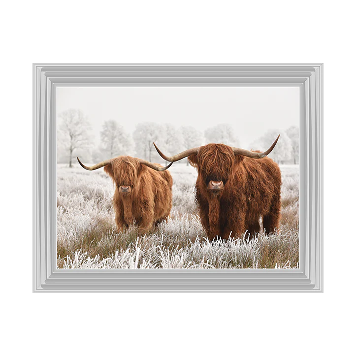 Two Highland Cows - Framed Picture