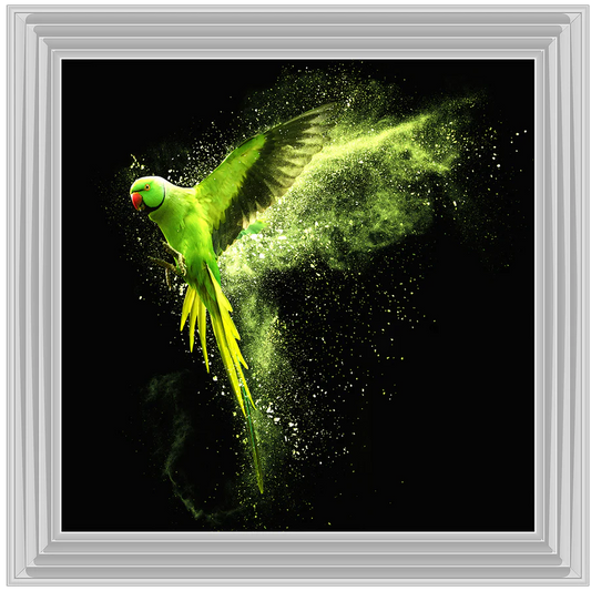 Flying Green Parrot – Framed Picture