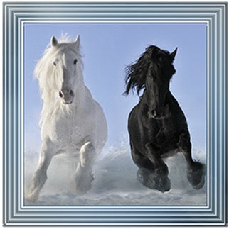 Two Horses – Framed Picture