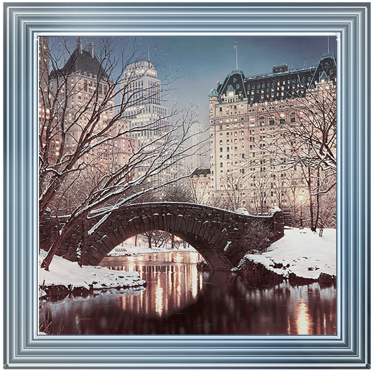 New York Central Park In Winter - Framed Picture