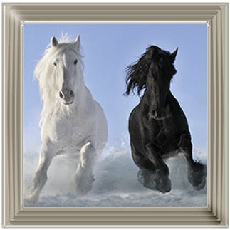 Two Horses – Framed Picture