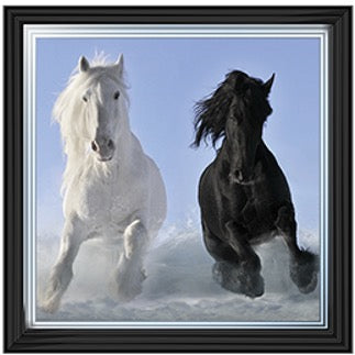 Two Horses – Framed Picture