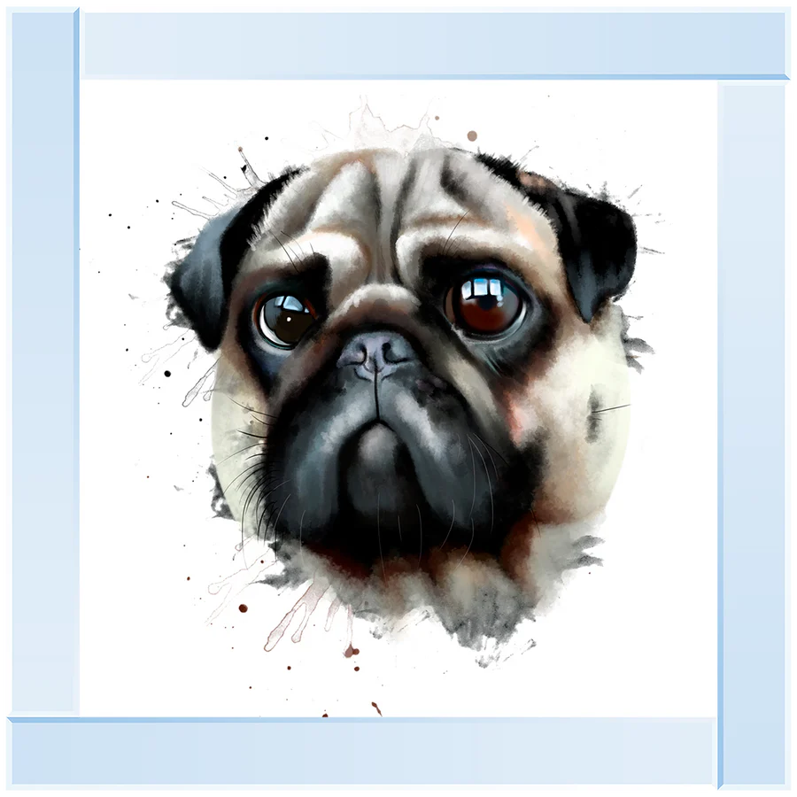 Artistic Pug Dog Portrait – Framed Picture