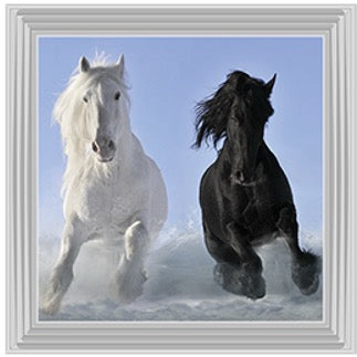 Two Horses – Framed Picture