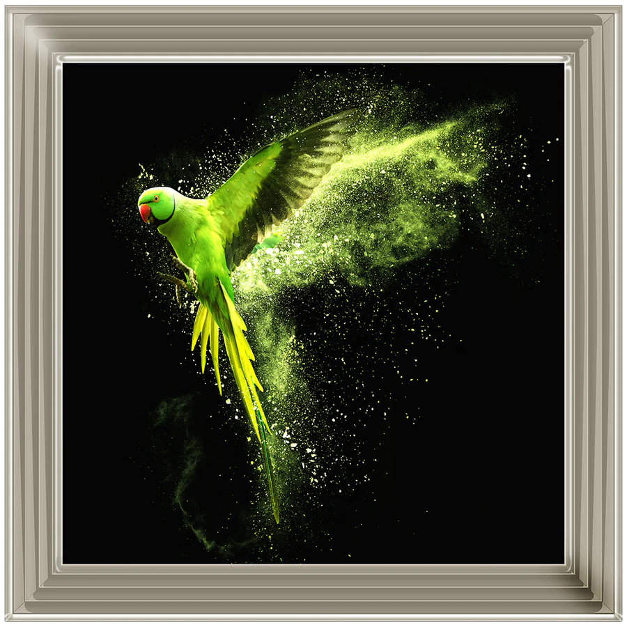 Flying Green Parrot – Framed Picture
