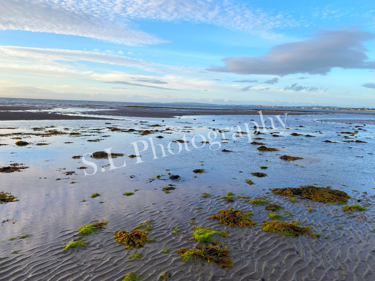 Greenan Coast - Print