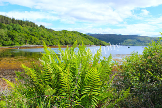 Loch Carron Scottish Highlands - Print