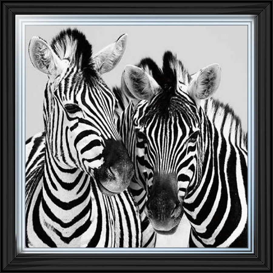 Duo Of Zebras – Framed Picture