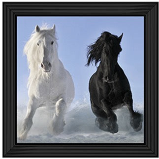 Two Horses – Framed Picture