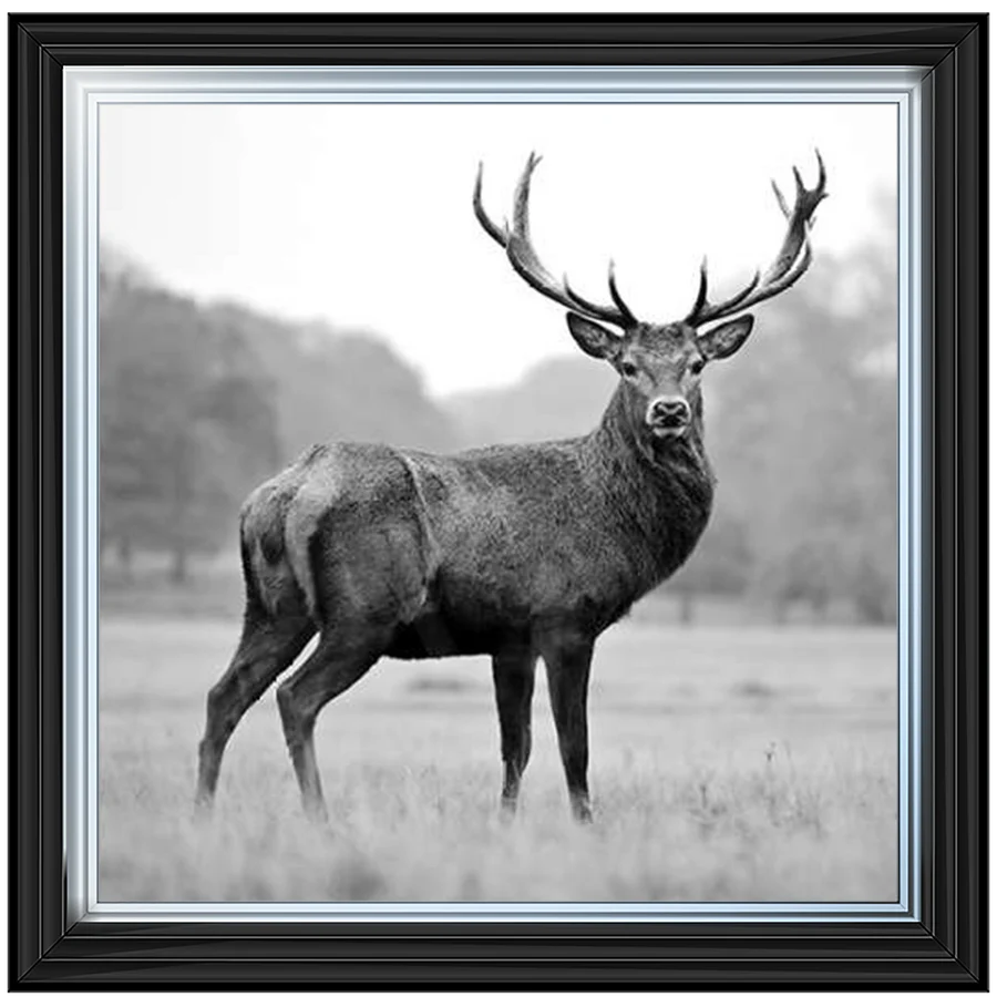 Black & White Stag - Framed Picture